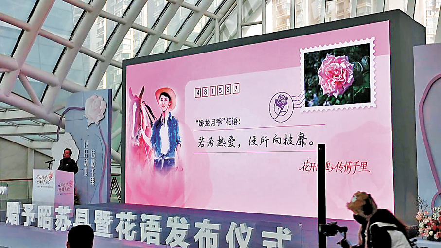 ●雲南省農科院花卉研究所正式將兩株「嬌龍」月季贈予新疆昭蘇縣，並賦予其專屬花語。    新華社