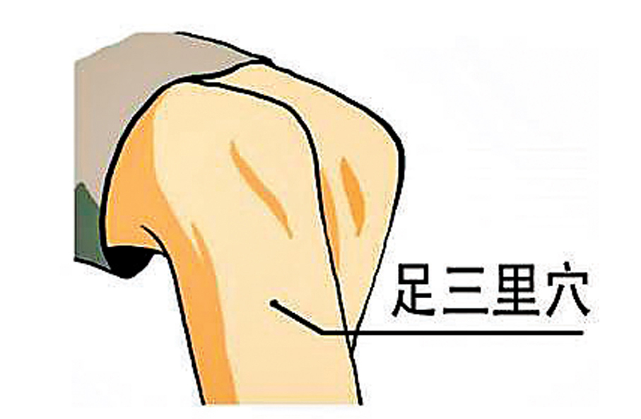 ●足三里穴