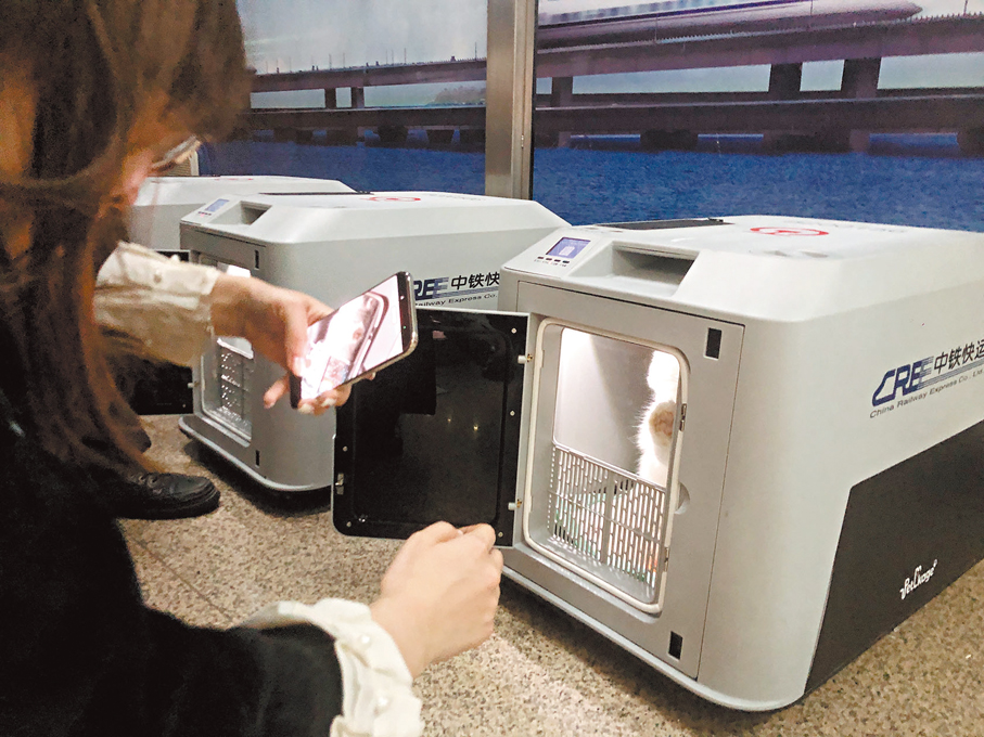 ●為保障寵物安全，託運使用專用恒溫恒濕「航空箱」。