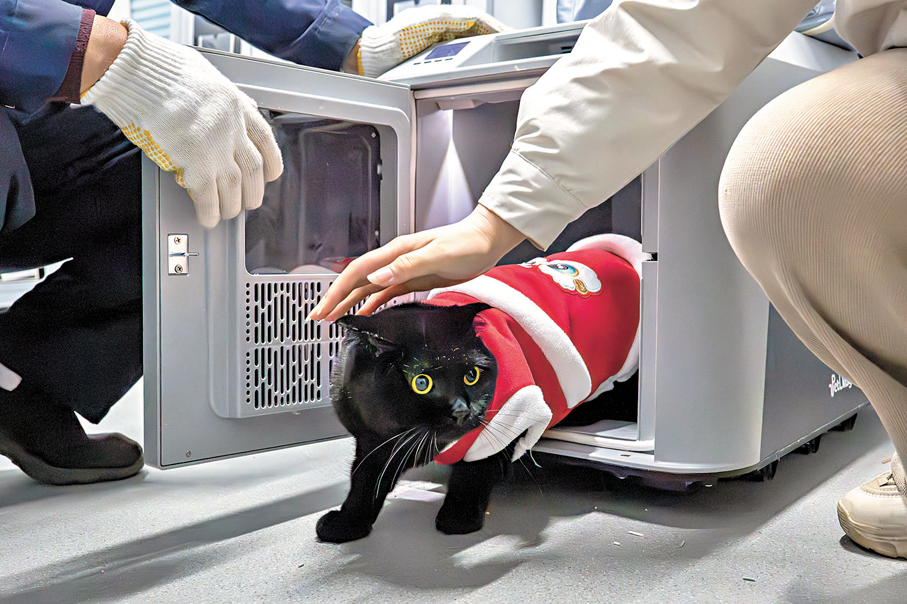 ● 2月3日，在湖北武漢火車站，一隻小貓從「高鐵寵物運輸智能箱」內探出身體，被主人接走。 新華社
