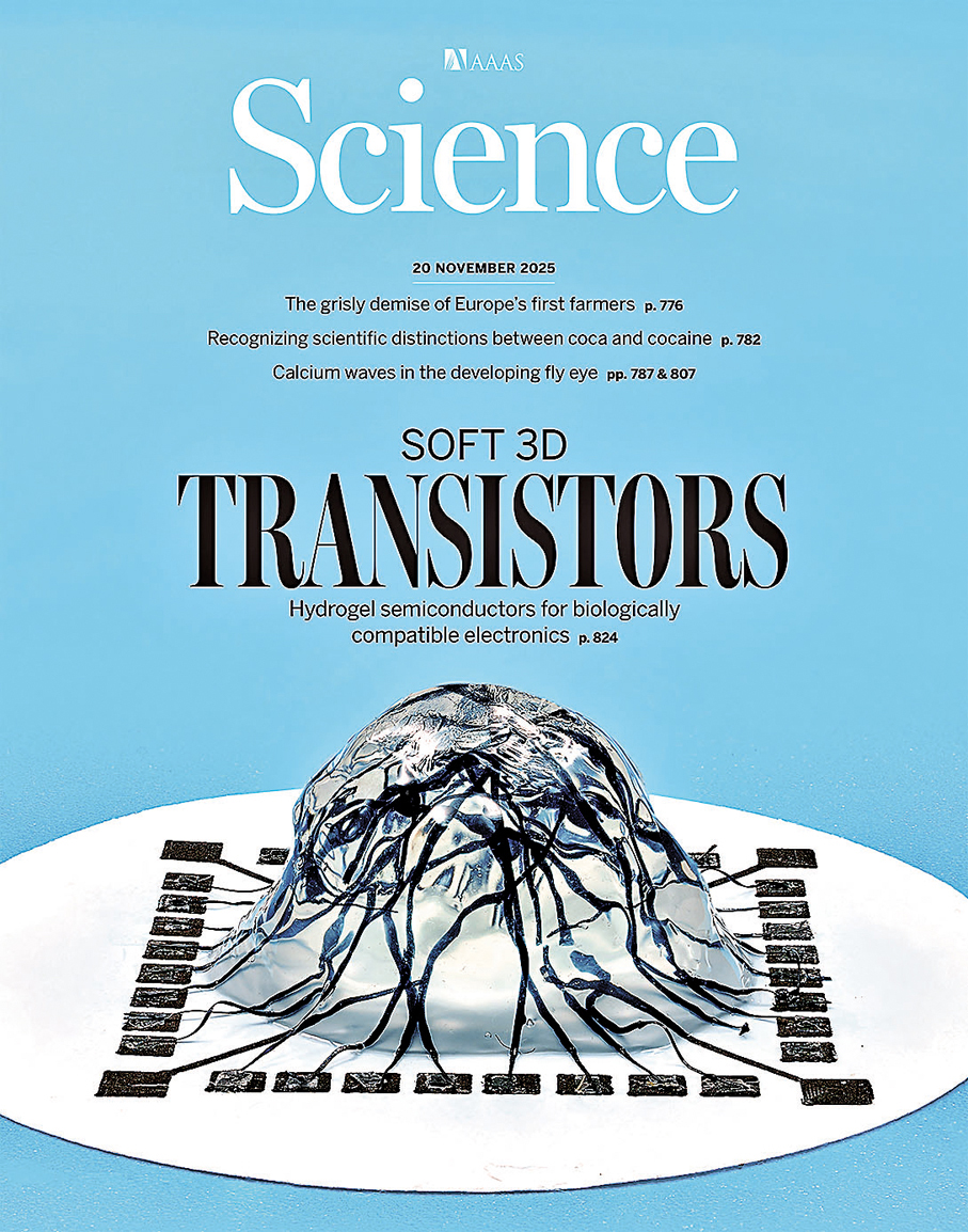 ●港大開發出軟體三維晶體管，獲選為《科學》封面故事。