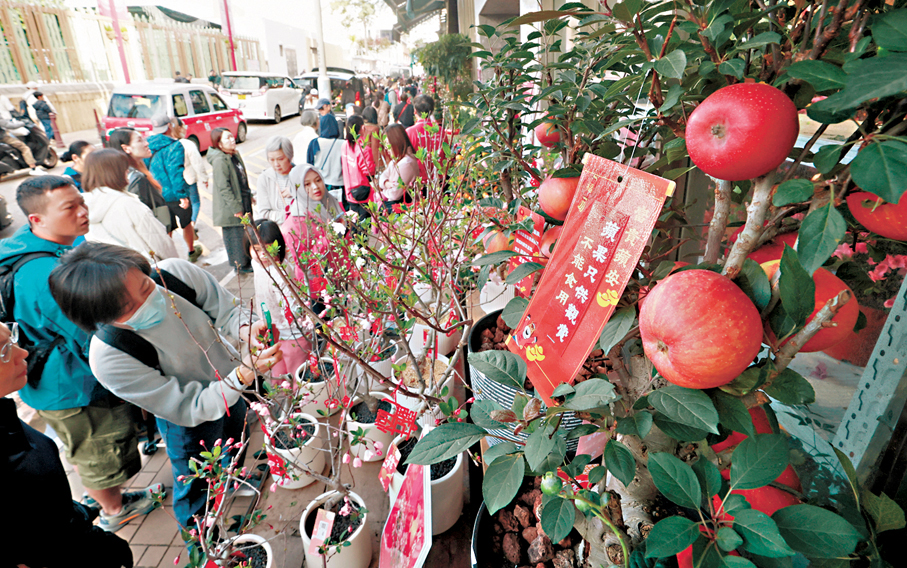●蔡家偉表示，食環署小販管理事務隊會於節日期間加強執法，防止旺角花墟一帶的店舖擴展營業範圍導致阻街。香港文匯報記者郭木又  攝