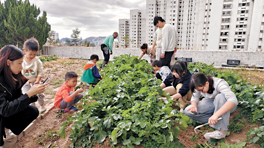 ●生態農莊給予小朋友不少歡樂。