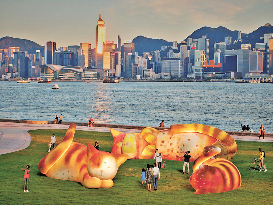 ●Air Giants《夢遊喵境》（示意圖）。西九文化區管理局供圖