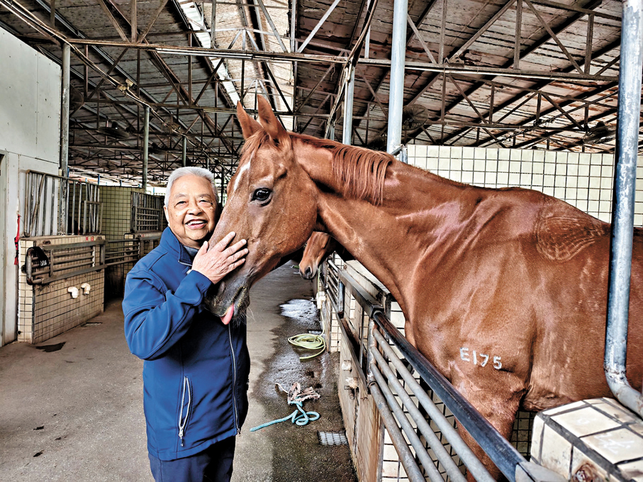 ●83歲的香港騎手羅建南和26歲的愛馬「羅仔」。  香港文匯報記者胡永愛  攝