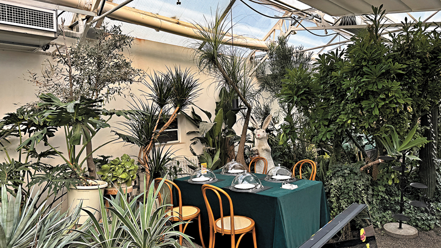 ●植物園西餐廳被綠意盎然的植物環繞，恍若置身熱帶雨林。
