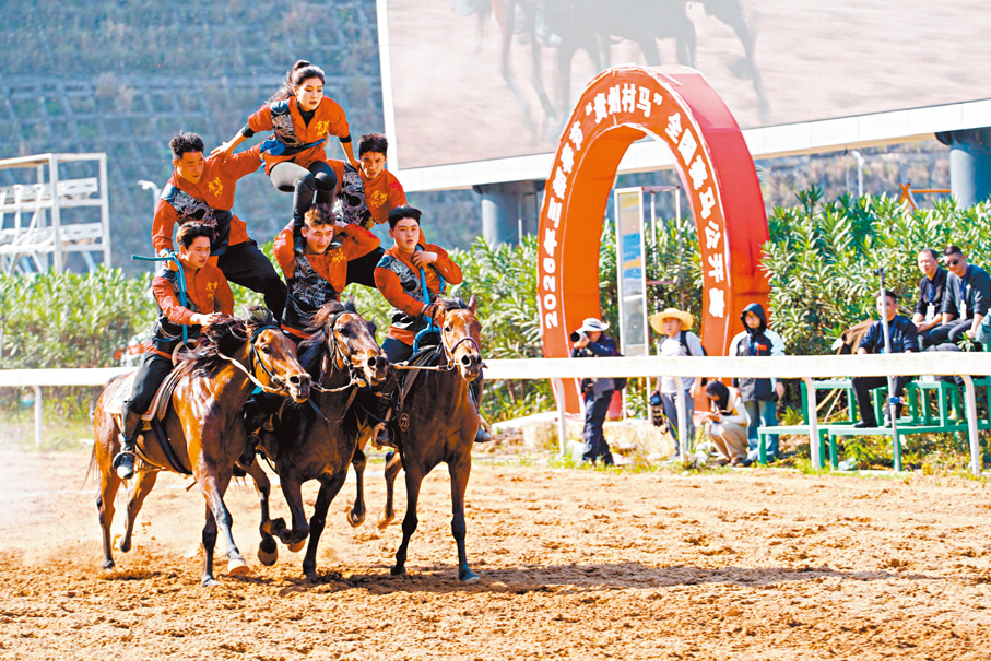 ●2026年三都春節貴州「村馬」全國賽馬公開賽期間表演馬上疊羅漢。