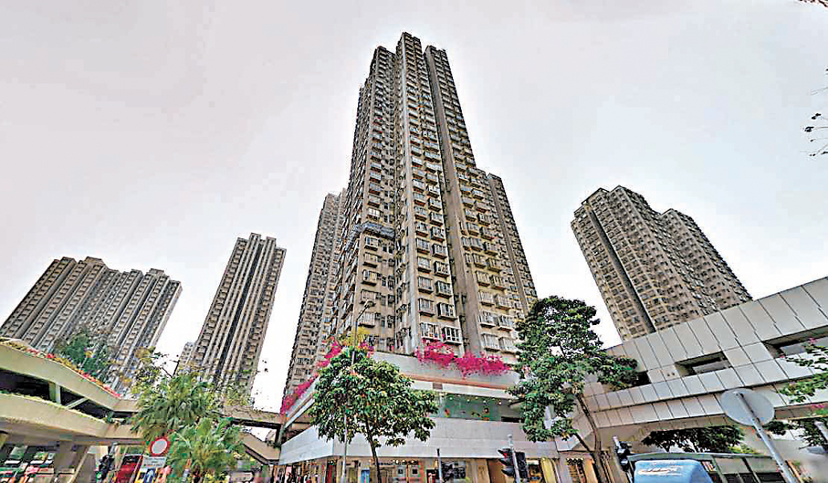 ●大埔廣場。資料圖片