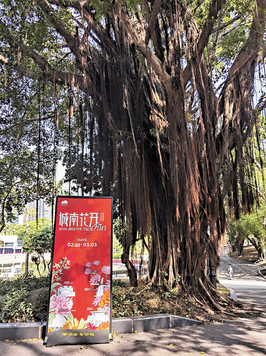 ●中山公園裏的「城南花開」宣傳牌。 作者供圖