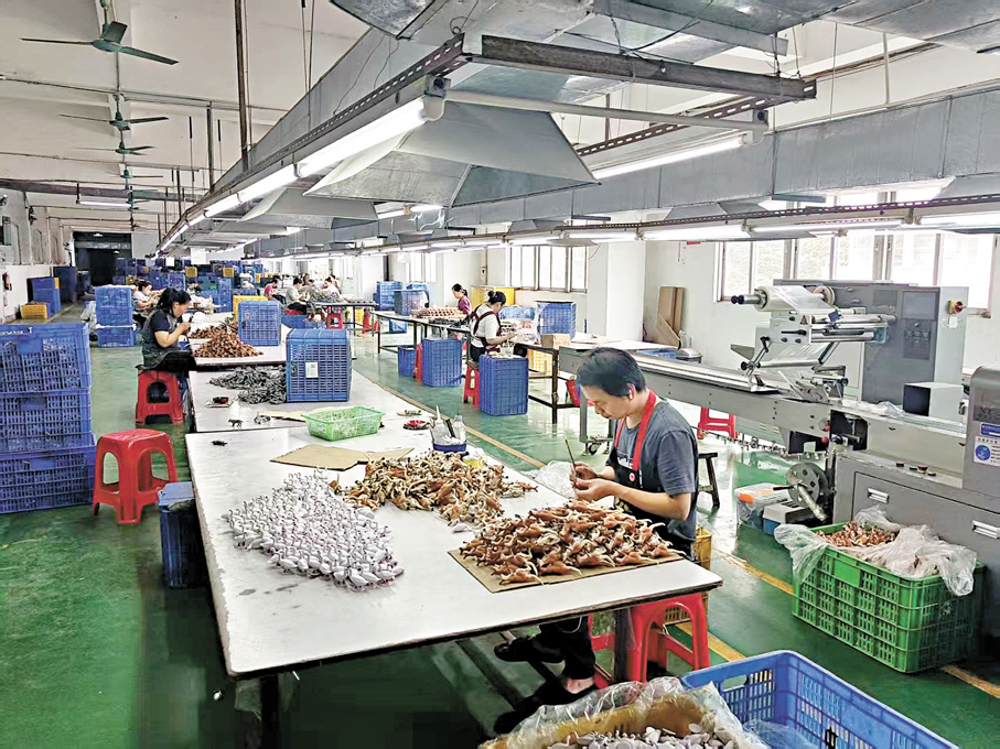 ●多家受訪公司已積極調整市場布局與供應鏈策略，為今年恢復增長打下了基礎。圖為東莞成興塑膠製品工廠。 