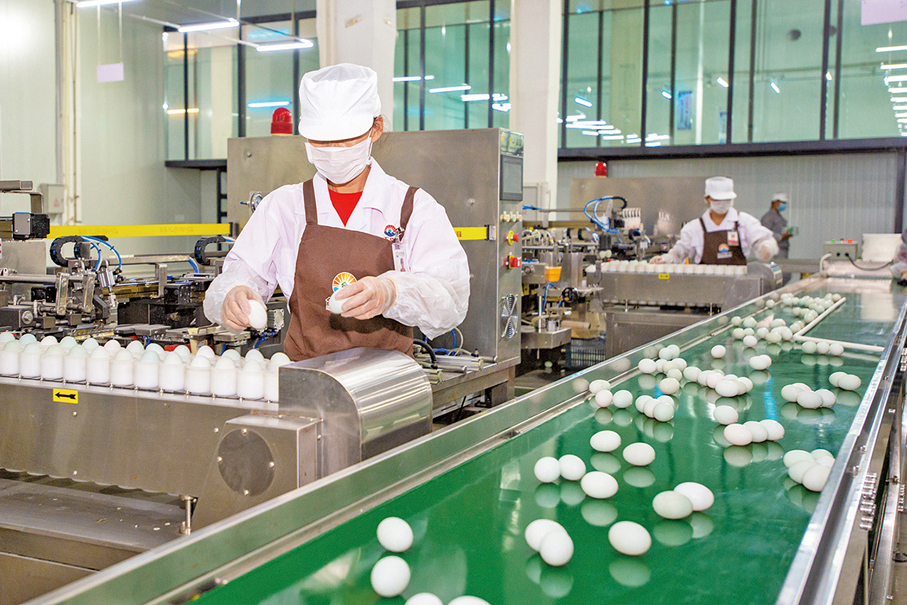 ●北海合天寶龍食品有限公司生產的熟制海鴨蛋深受粵港澳大灣區消費者歡迎。