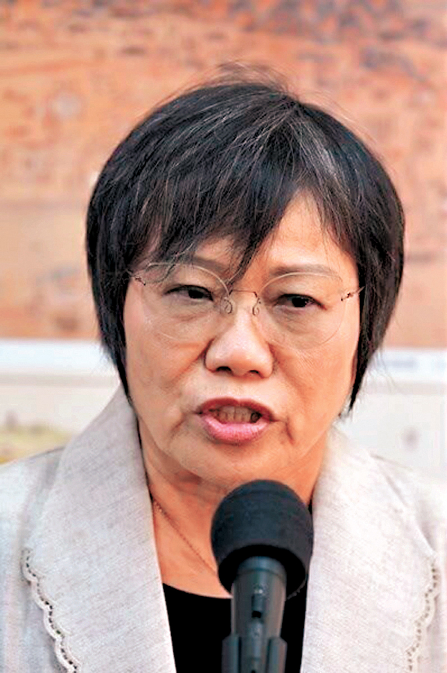 ●「台獨」頑固分子劉世芳。資料圖片