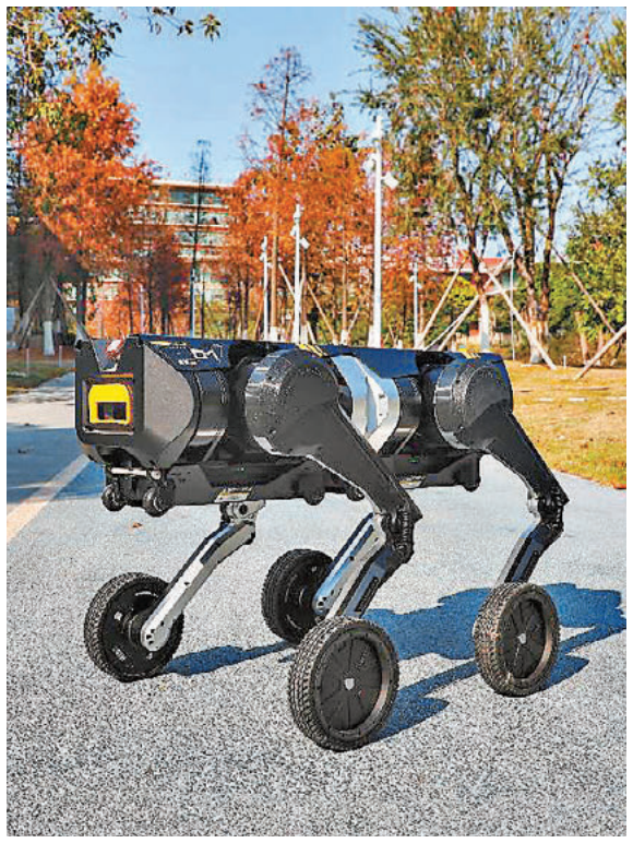 ●張笛所帶領的團隊僅用5年時間，成功將港科大實驗室的大膽設想落地量產，產品年交付量突破數百萬。 受訪者供圖