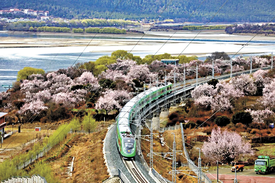 ●「天路格桑花·相約林芝」號旅遊列車行駛在青藏鐵路上。 資料圖片