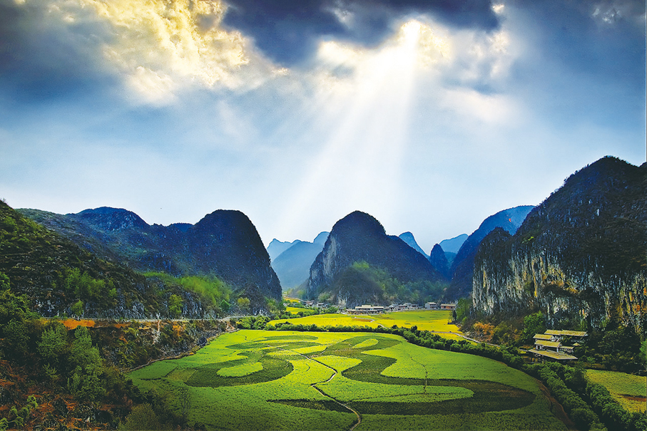 ●安順龍宮龍字田。