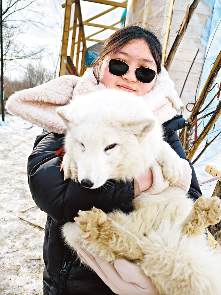 遊客在長白山抱雪狐打卡。