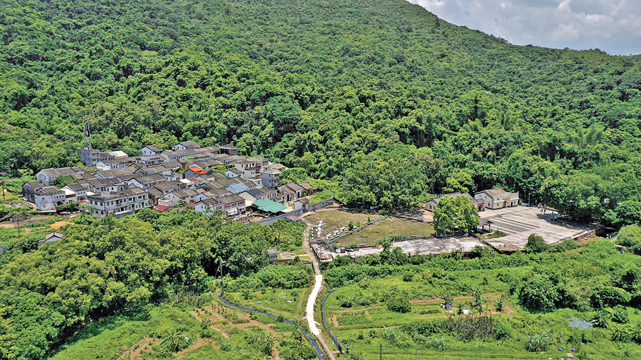 ●荔枝窩   主辦方供圖