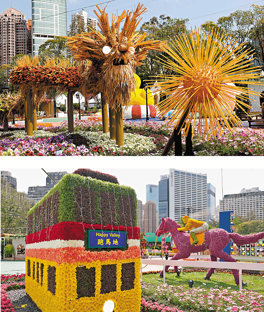 ●「港島花徑」帶領遊人穿梭大坑舞火龍等港島地標和場景。 香港文匯報記者黃艾力  攝