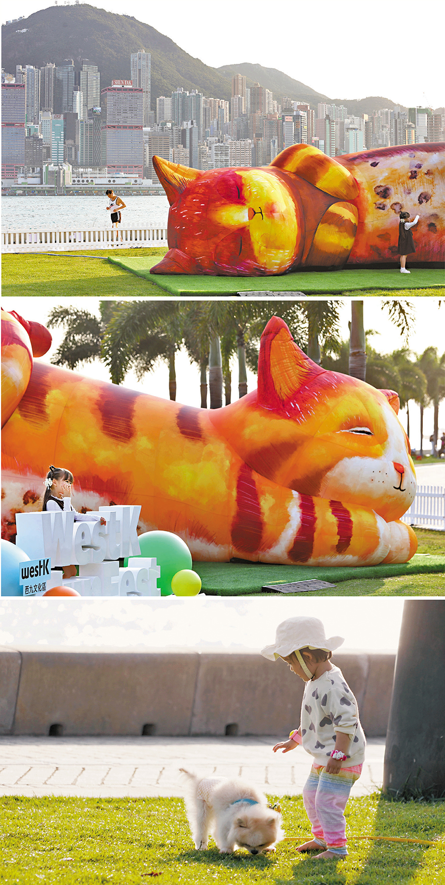 夢遊喵境(=  'ω'=)●由英國創意工作室Air Giants創作，是亞洲首次展出、首次戶外亮相的互動藝術作品。圖中可見數隻長達 10 米的充氣巨型睡貓，色彩溫暖治癒，尾巴會擺動，撫摸時還能感受到呼嚕聲與心跳聲。香港文匯報記者萬霜靈  攝