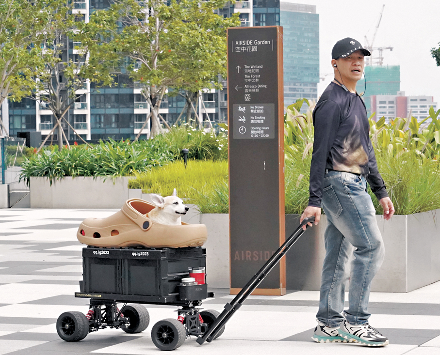 ●哥基犬愜意坐進「巨型洞洞鞋」，由主人拉着改裝酷炫的平板車，在啟德AIRSIDE漫步。 香港文匯報記者曾興偉  攝