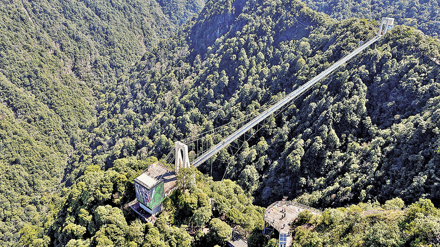 ●3月21日是國際森林日。圖為江西的三百山溫泉旅遊度假區森林覆蓋率達98%。 中通社