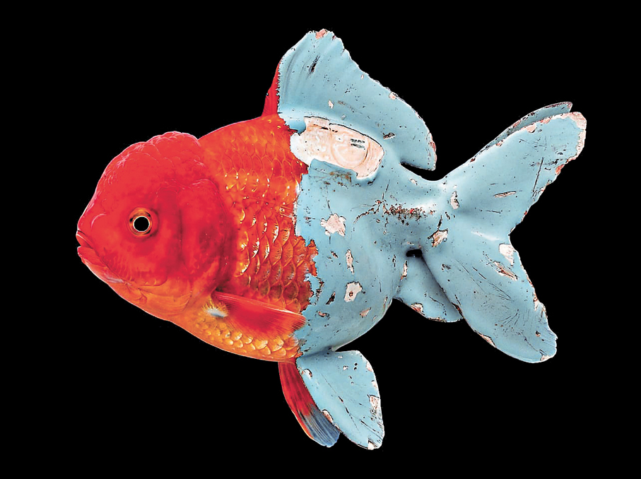 ● TAEX將於「Zero 10」呈現Kevin Abosch的作品。圖為藝術家的《Goldfish》。