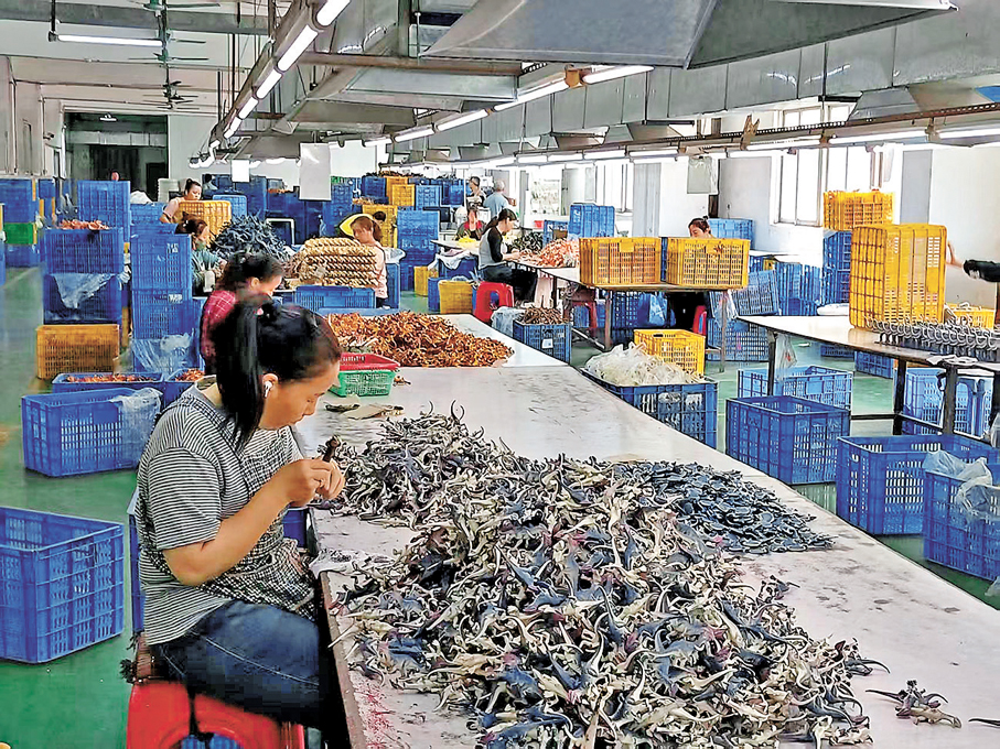 ●東莞成興塑膠製品員工在製作玩具。  香港文匯報記者李昌鴻 攝