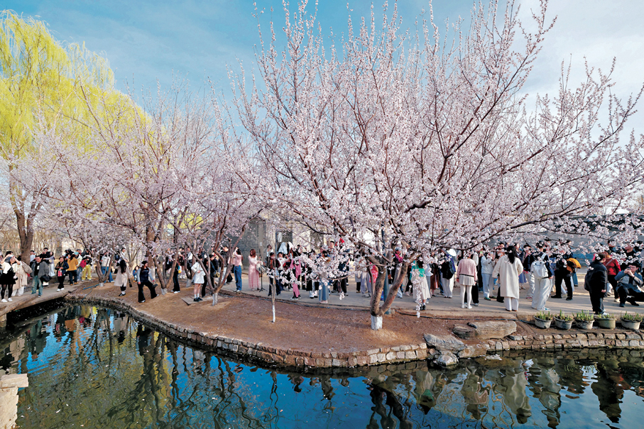 ●遊人在北京三里河公園賞花。