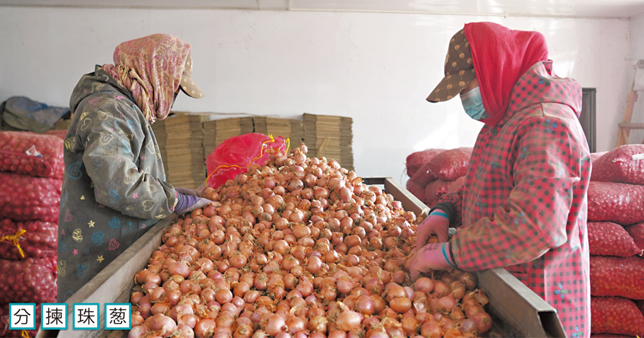 香港文匯報長春傳真