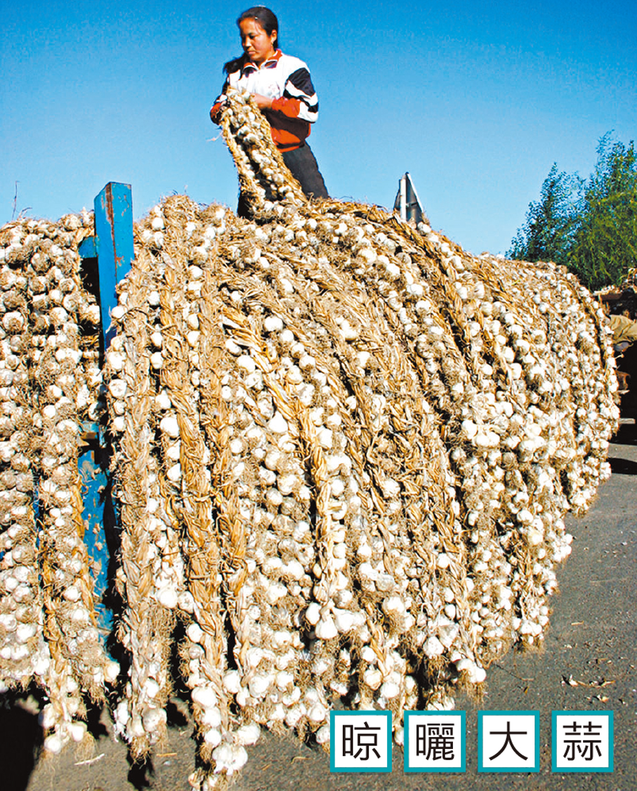 香港文匯報長春傳真