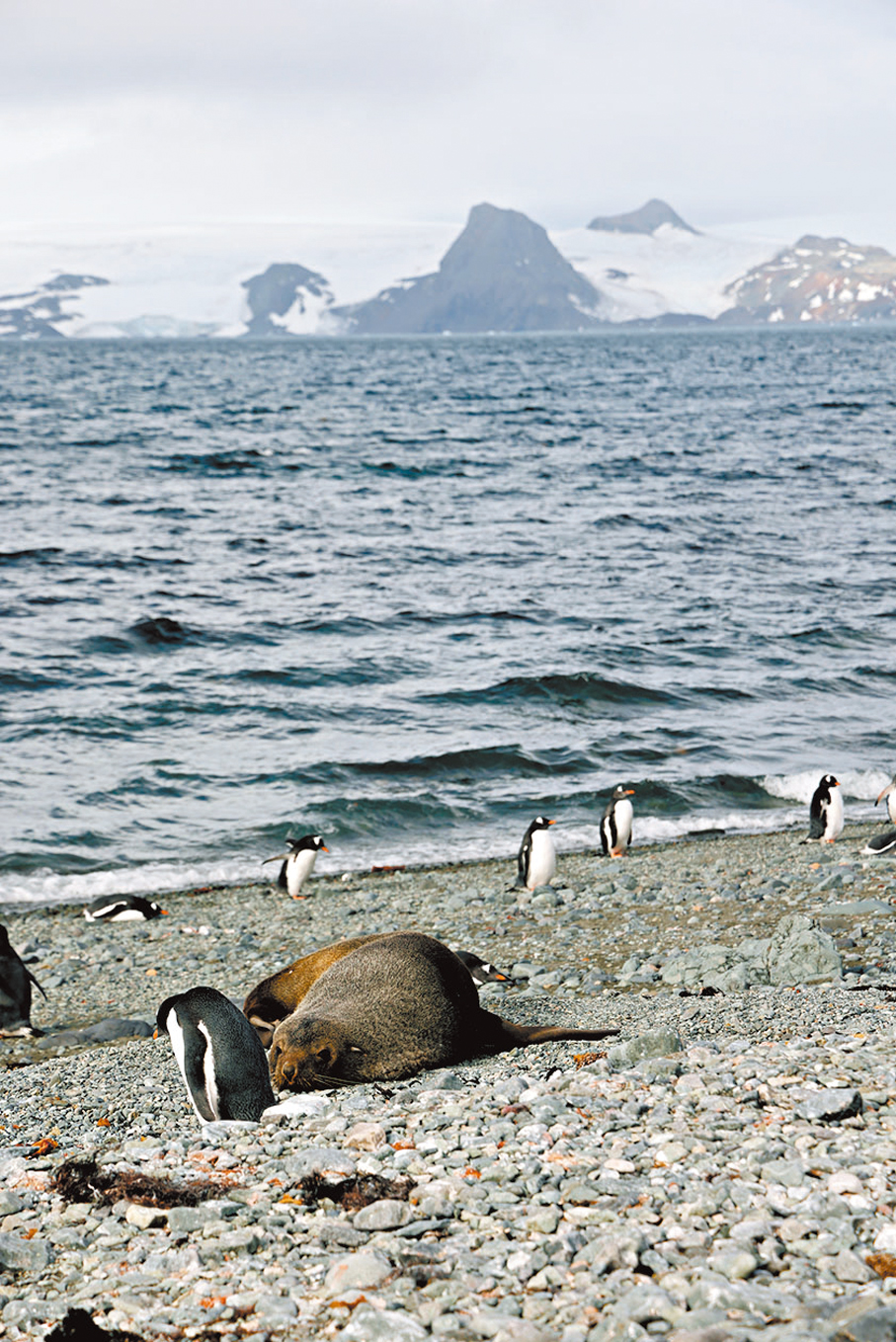 ●南極不時會突然出現極端氣候變化。 港中大供圖