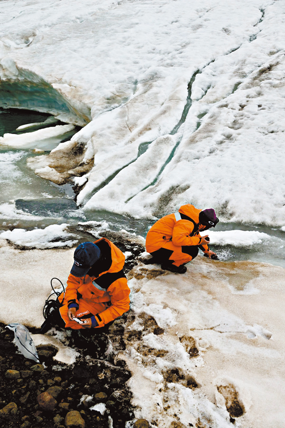 ●研究員正在收集樣本。 港中大供圖