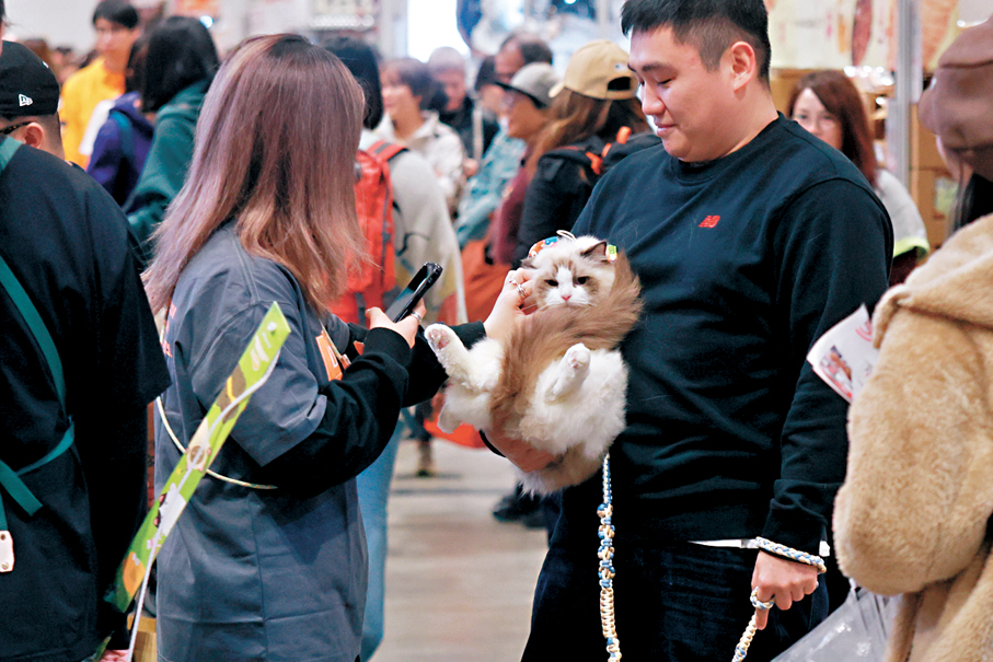 ●近年寵物經濟發展迅速，寵物市場大有可為。 香港文匯報記者北山彥  攝