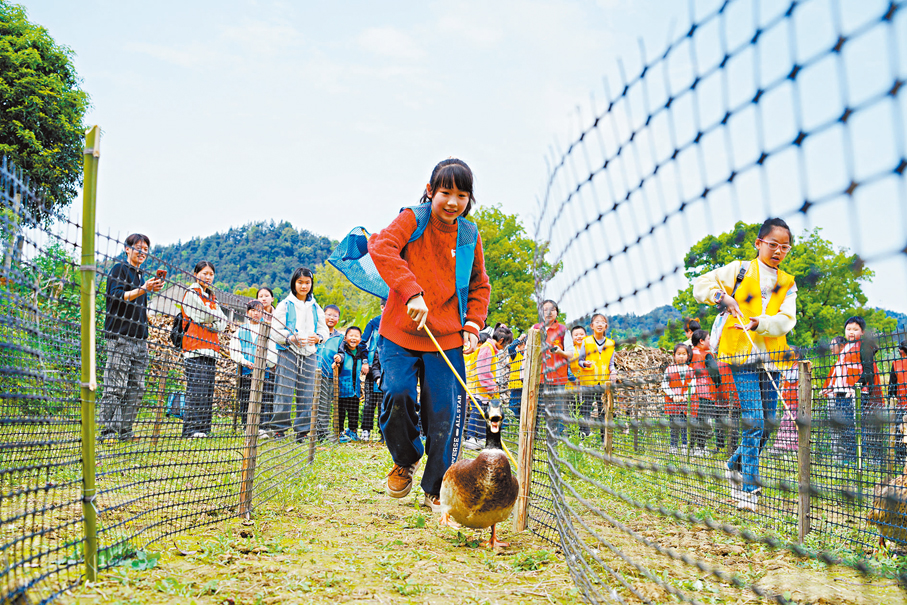 ●4月3日，在重慶市北碚區歇馬街道虎頭村一農場，孩子們參加趕鴨子比賽。 新華社