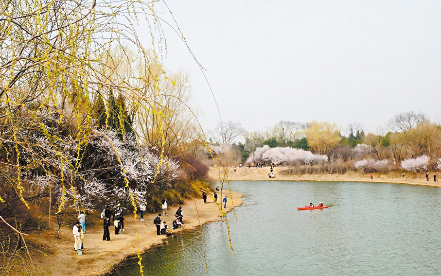 ●奧森公園春意盎然，吸引人們前往打卡。