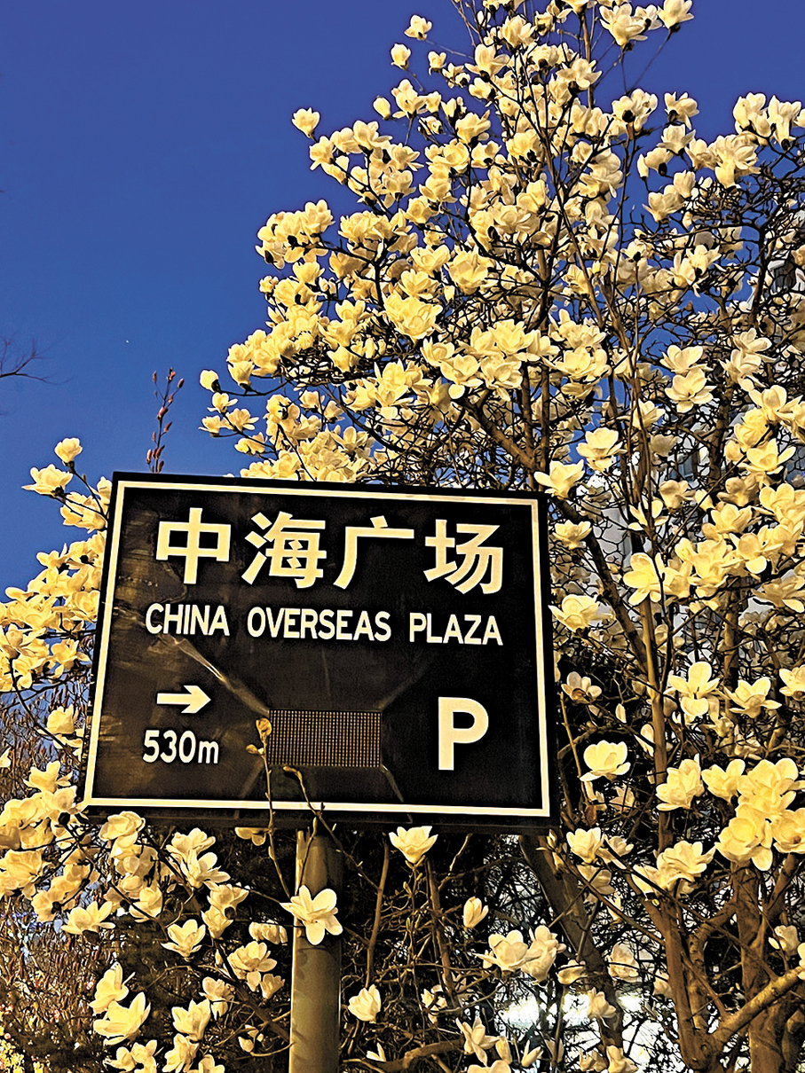 ●萬物復甦，北京城裏一派春日景象。