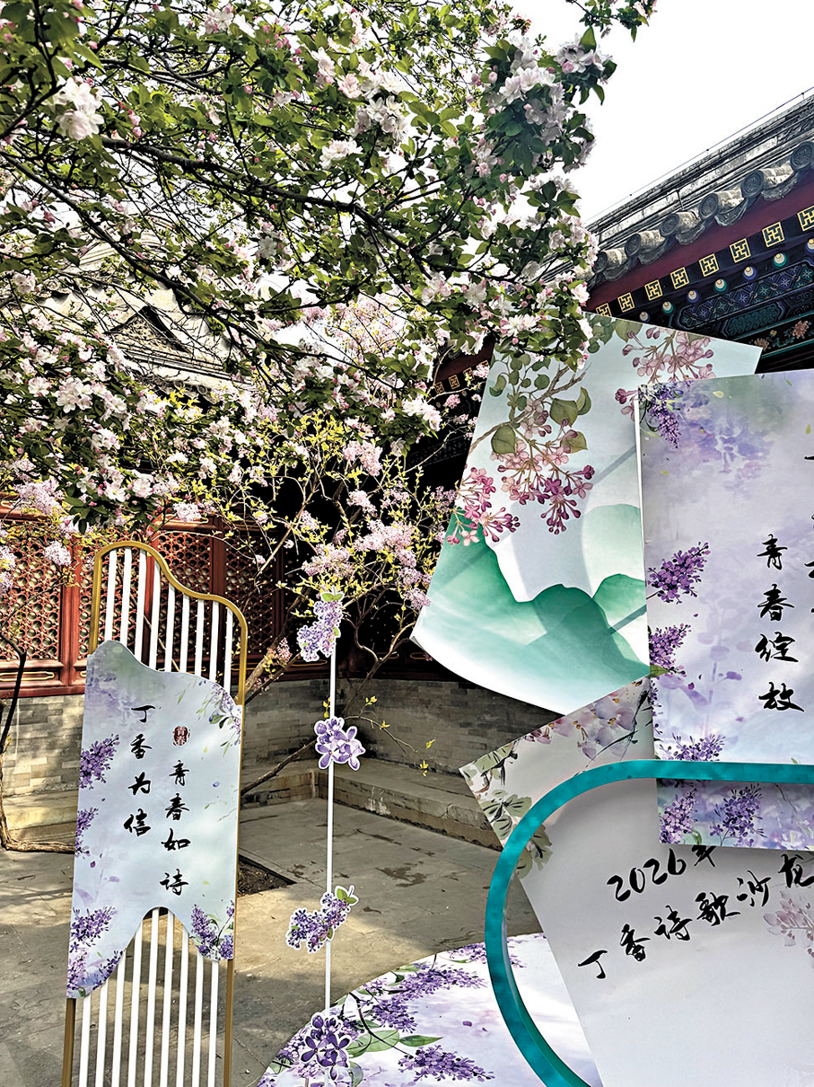 ●「百年丁香詩會」活動現場充滿詩意。