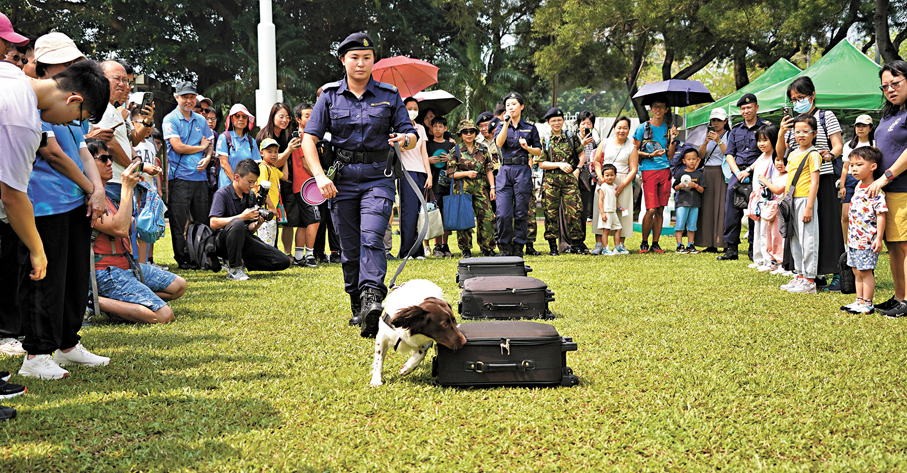 搜查犬示範