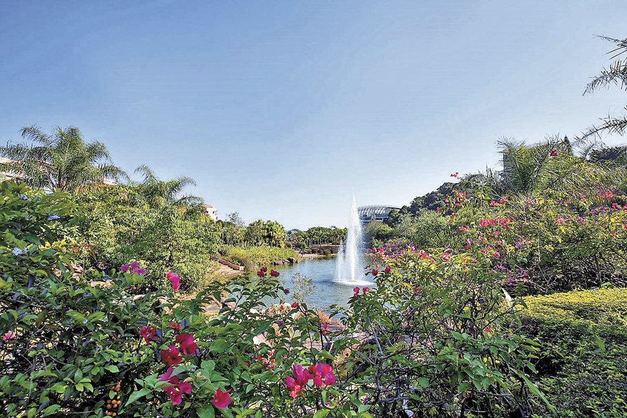 中央公園