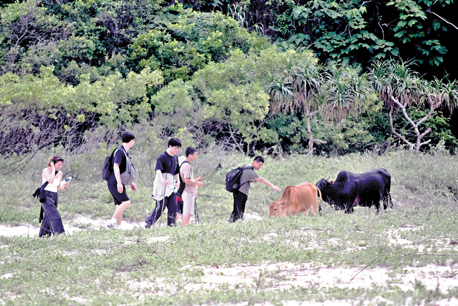 ●遊人與動物相遇。 