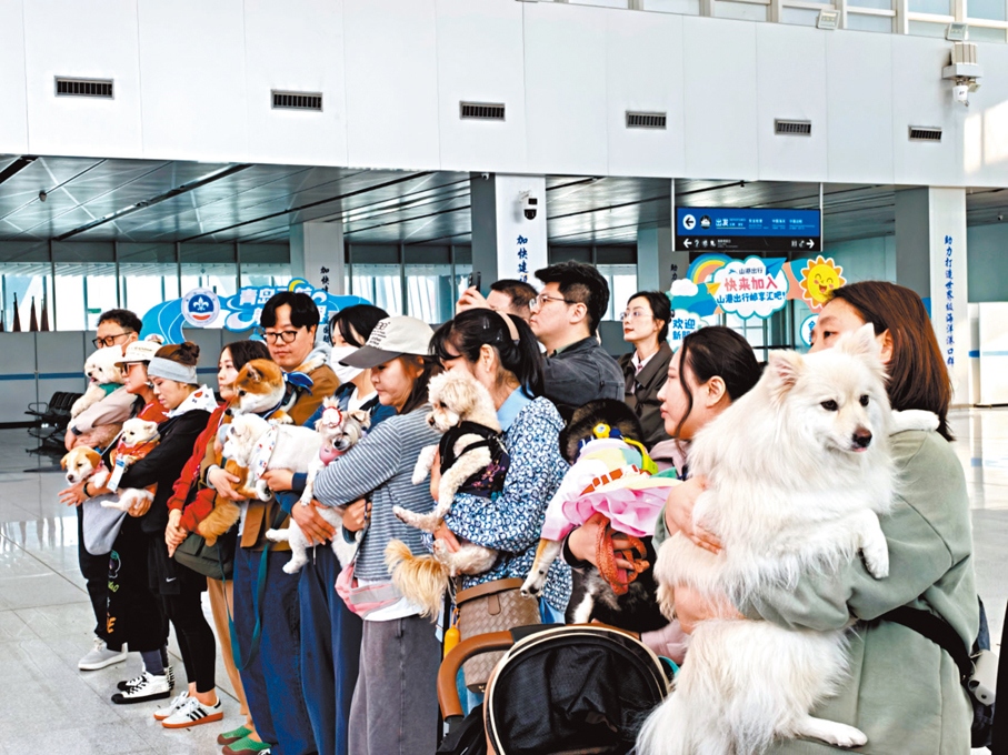 ●今年4月初，山東首個規模化韓國攜寵入境旅遊團抵達青島。