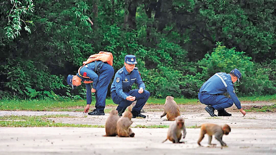 ●保護海島生態，海警執法員與轄區海島上的野生獼猴互動。中國海警公眾號圖片