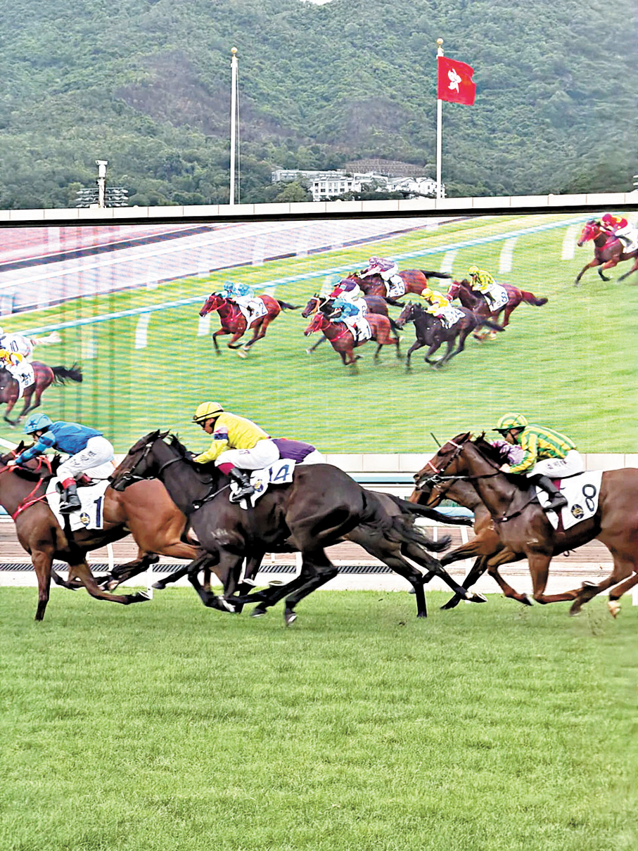 ●一名北京女遊客日前到沙田馬場時遺失卡包，遂致電馬會總部求助，最終馬會人員迅速為她尋回失物並送到警署，讓她失而復得。  事主發布網圖