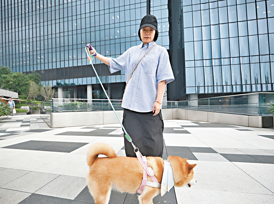 ●莫女士帶着愛犬外出就餐。