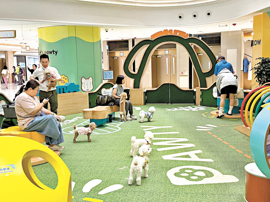●有商場設置寵物室內樂園。 香港文匯報記者張弦  攝