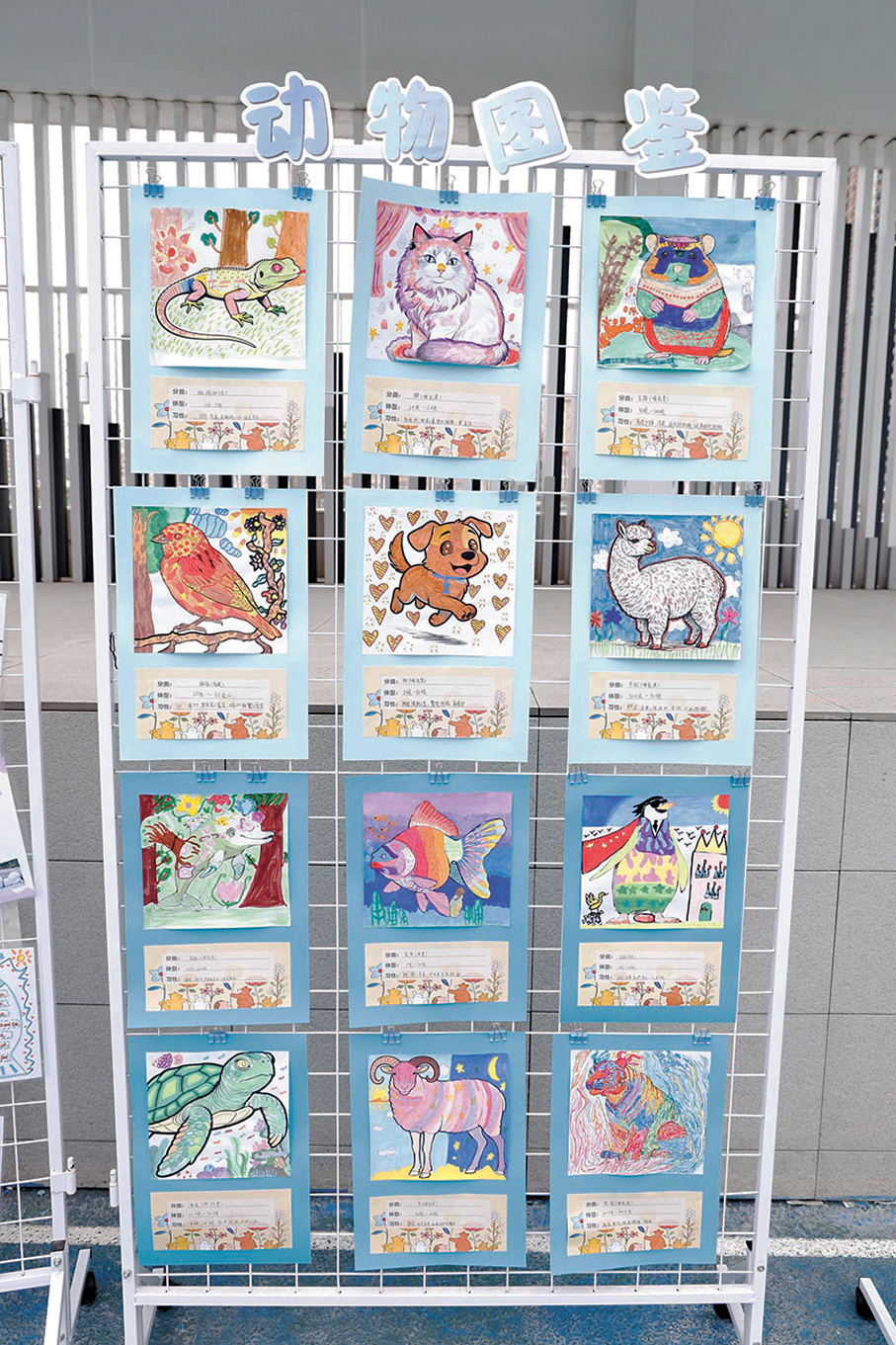 由學生繪製的「動物圖鑒」。