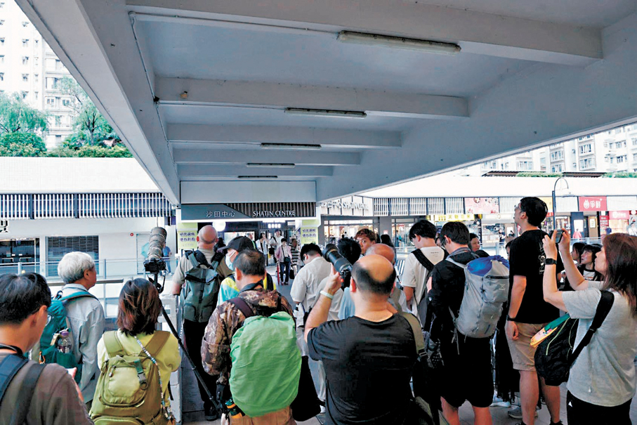 ●沙田中心連接好運中心的天橋的燕子巢吸引大批市民圍觀拍照。 香港文匯報記者孫嘉蔚  攝