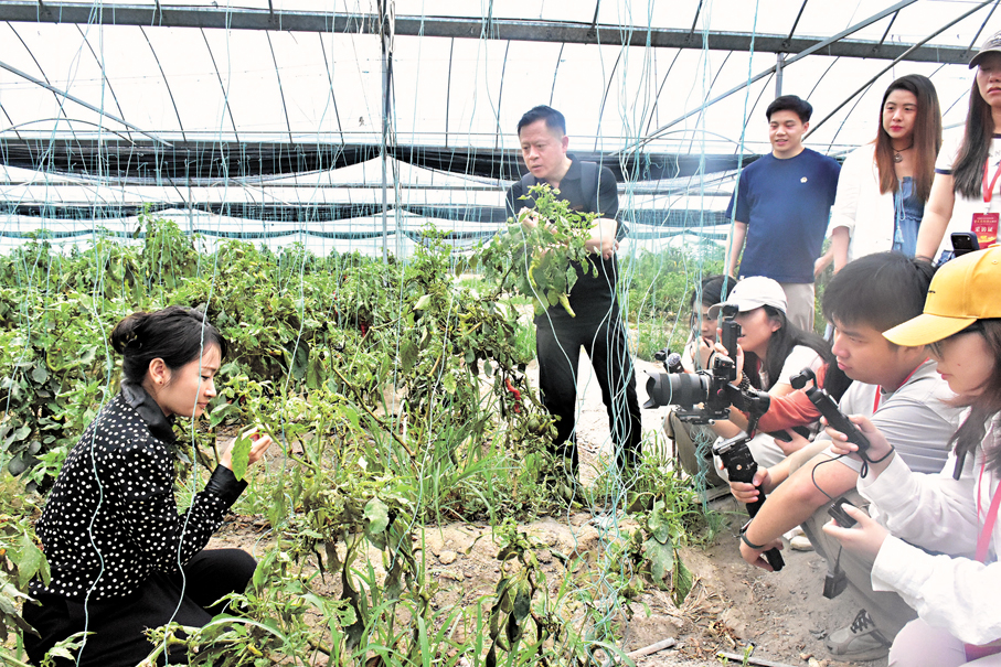 ●粵港澳大灣區媒體聯盟重走長征路系列主題採訪團成員品嘗潭頭村辣椒。