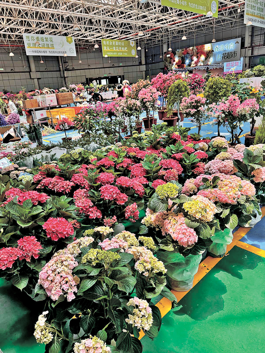 ●斗南花卉市場