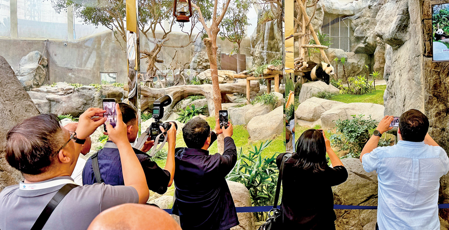 ●研討會安排APEC成員經濟體代表到訪香港海洋公園的「大熊貓之旅」，認識大熊貓生態。